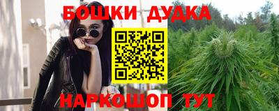 гашик Канаш